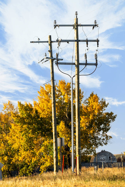 Grupo de postes de energia ao lado de uma propriedade rural em uma estrada rural com árvores em cores de outono em Rocky View Alberta Canada. - Foto, Imagem
