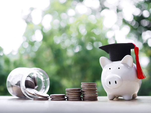 Свинка в шляпе выпускника, стеклянной бутылке и стопке монет. Концепция экономии денег на образование, студенческий кредит, стипендию, плату за обучение в будущем - Фото, изображение