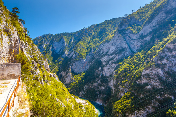 The Piva river in Montenegro - Valokuva, kuva