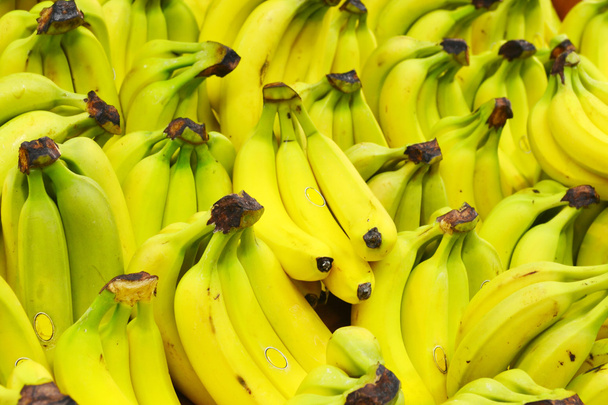 Muchos plátanos amarillos orgánicos en el mercado
 - Foto, Imagen
