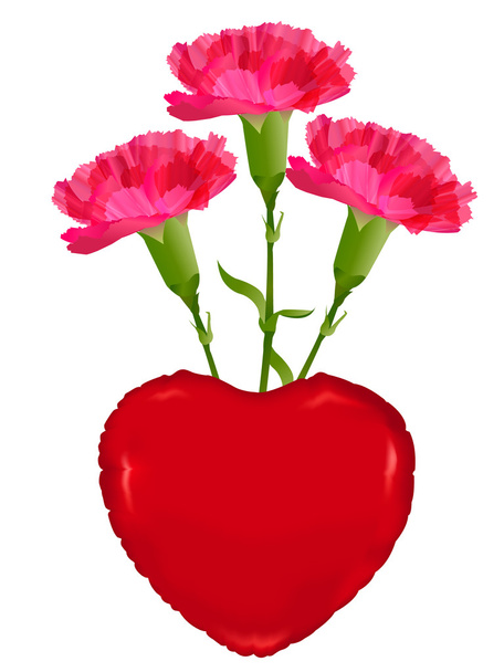 Carnation Mother's Day flowers - Vector, Image