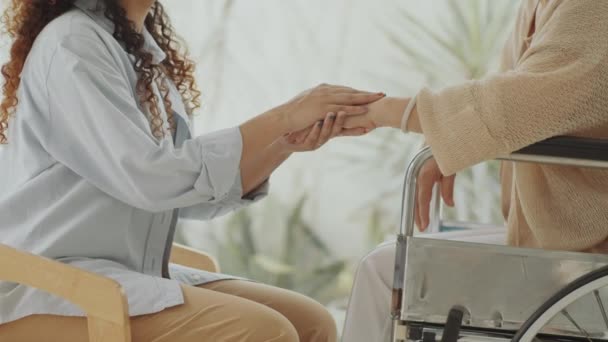 Обрізаний імперсональний знімок доглядальниці, що тримає руки жінки в інвалідному візку під час розмови вдома - Кадри, відео