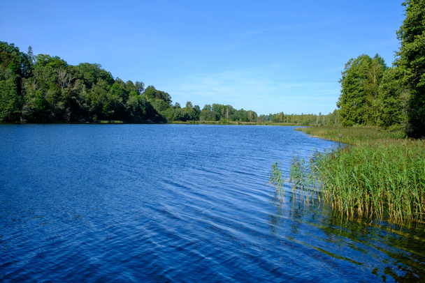Сценический вид на озеро с берега. Красивый вид на озеро Вайдава, Латвия. - Фото, изображение