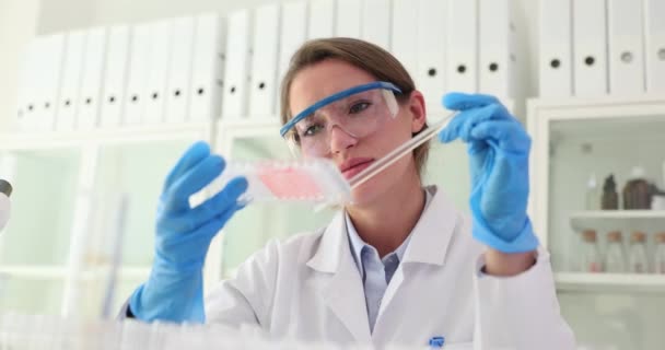 Naukowiec i narażenie na eksperyment naukowy trzymający probówkę z różowym płynem w laboratorium. Badania toksycznych płynów - Materiał filmowy, wideo