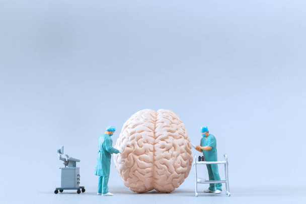 Miniature People Doctor checking and analysis brain model on white background, Science and medicine concept - Photo, Image