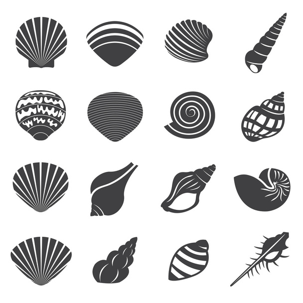 Море Shell квартира моно иконы Set - Вектор,изображение