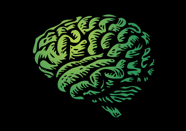 Cerebro humano
 - Vector, imagen