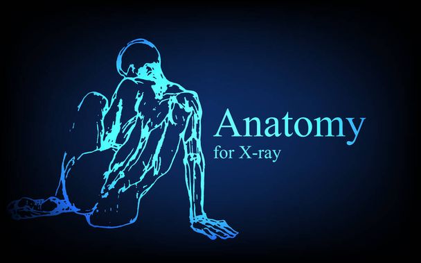 Human anatomy in front on x ray view. Anatomy human body connection, Medical, educational or science banner on futuristic blue background, Vector hand drawn illustration - Vector, Image