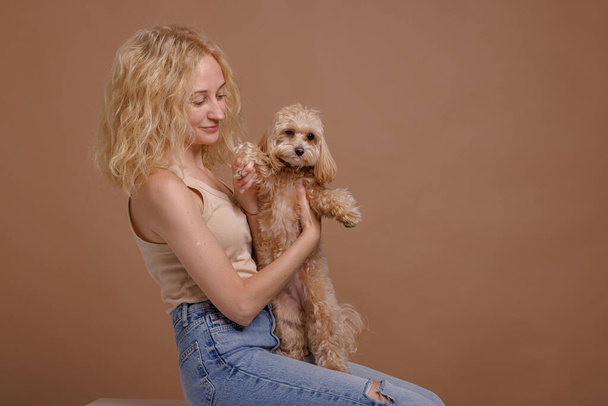 девушка держит симпатичную мальтийскую собаку на руках крупным планом на бежевом фоне, понятие любви к собаке - Фото, изображение