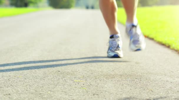 Γυμναστική, τρέξιμο και ο άνθρωπος ισοπαλία κορδόνια στο πάρκο κατά τη διάρκεια του αγώνα, μαραθώνιο ή προπόνηση ανταγωνισμού. Αθλητισμός, προπόνηση και αρσενικό δρομέας αθλητής κάνει άσκηση καρδιο στο δρόμο στη φύση για την υγεία του σώματος. - Πλάνα, βίντεο