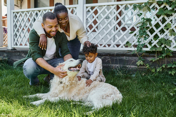 positive african american parents and son playing with dog on backyard of their house, quality time - Fotó, kép