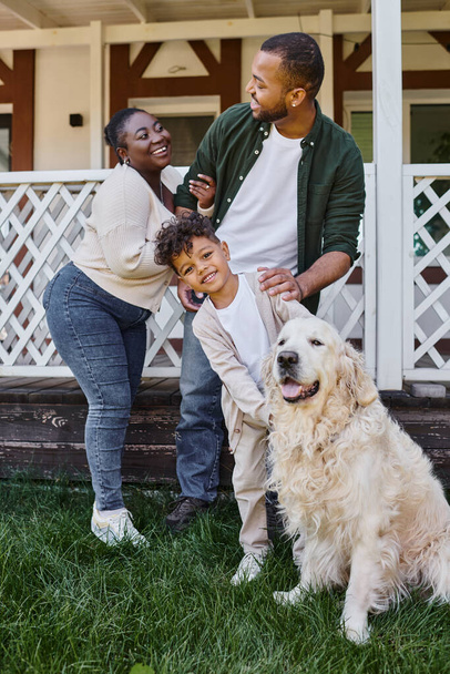 family time, happy african american parents and son playing with dog on backyard of their house - Zdjęcie, obraz