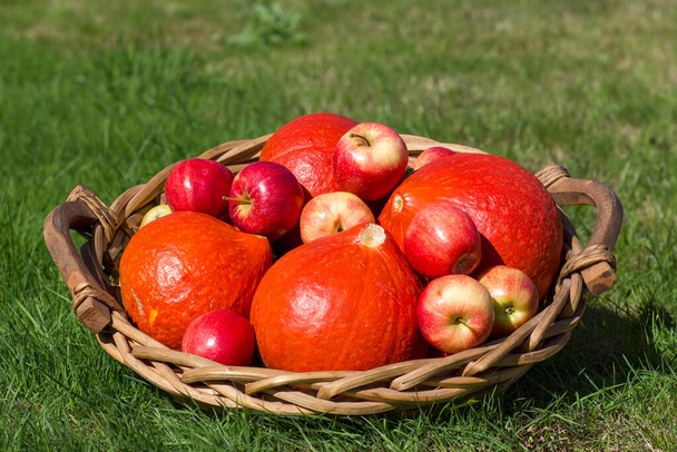 dynie i jabłka w koszyku na trawie - Zdjęcie, obraz