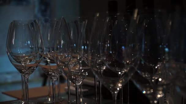 Viinilasit baarissa pimeässä valaistuksessa. Tyhjät lasit baaritiskillä - Materiaali, video