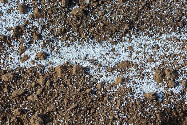 Fertilizantes en el suelo
 - Foto, imagen