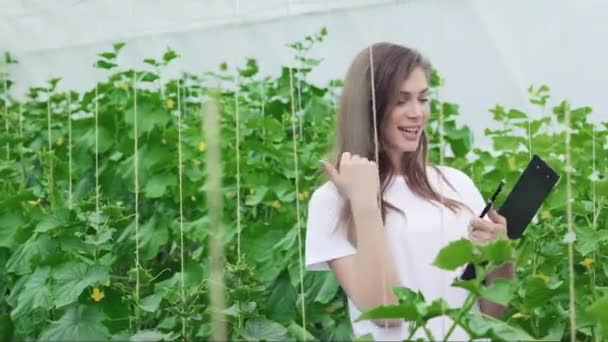 Девушка между рядами зеленых пальчиков вверх. Молодые агрономы следят за урожаем. Молодые фермеры выращивают и собирают органические овощи
 - Кадры, видео