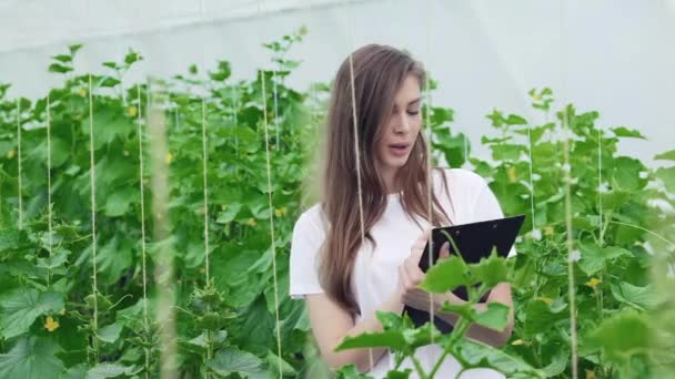Дівчина з буфером бере нотатки і розглядає ряд рослин. Молоді агрономи стежать за врожаєм. Молоді фермери вирощують і збирають органічні овочі
 - Кадри, відео