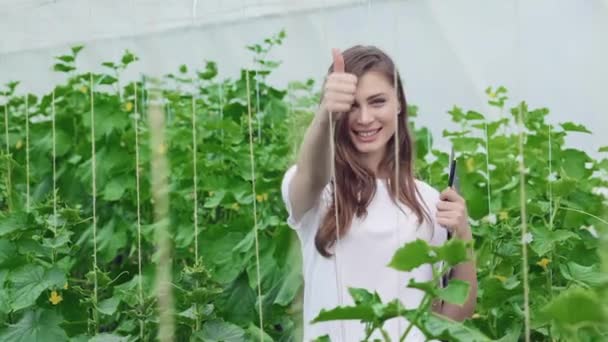 Девушка с большим пальцем. Молодые агрономы следят за урожаем. Молодые фермеры выращивают и собирают органические овощи
 - Кадры, видео