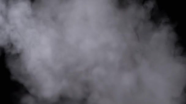Explosie van een White Ice Cloud of Smoke in wazige beweging op een zwarte achtergrond. Zwenk van zachte witte krullen van wolken van rook sigaretten, stoom, en gas oplossen op wazige achtergrond. Textuur. Ruimte. - Video