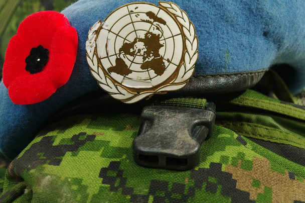 ημέρα μνήμης των Ηνωμένων Εθνών - Φωτογραφία, εικόνα