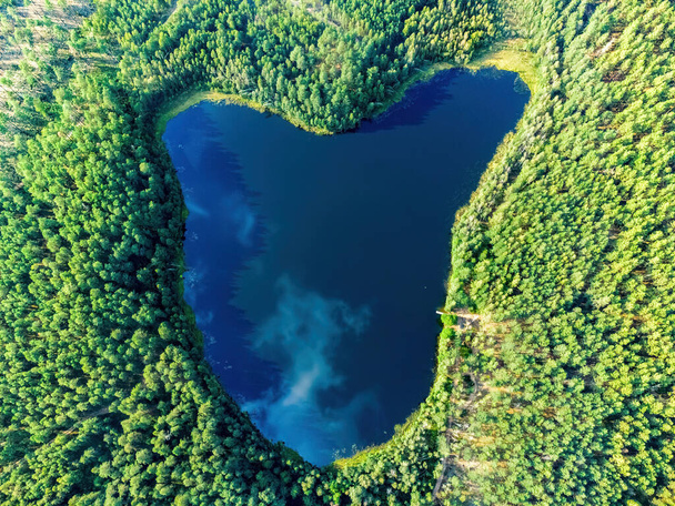 Aerial view of a lake in the forests of Lithuania, wild nature. The name of the lake is "Trikampis", Varena district, Dzukija national park, Europe. - Fotó, kép