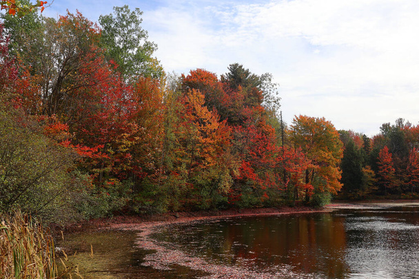 Herbst Farben von Kanada - Foto, Bild
