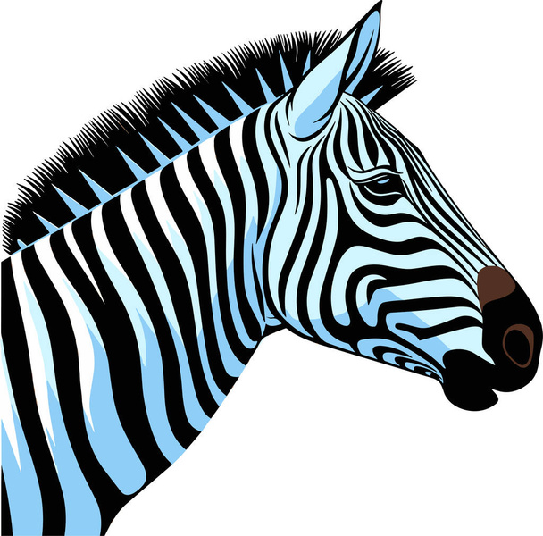 Zebra, cavallo a strisce, savana africana animale, vignetta vettoriale illustrazione - Vettoriali, immagini