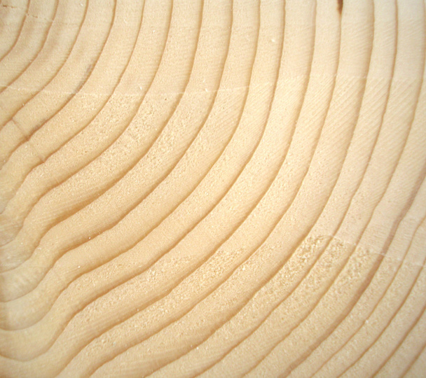 Деревянные кольца
 - Фото, изображение