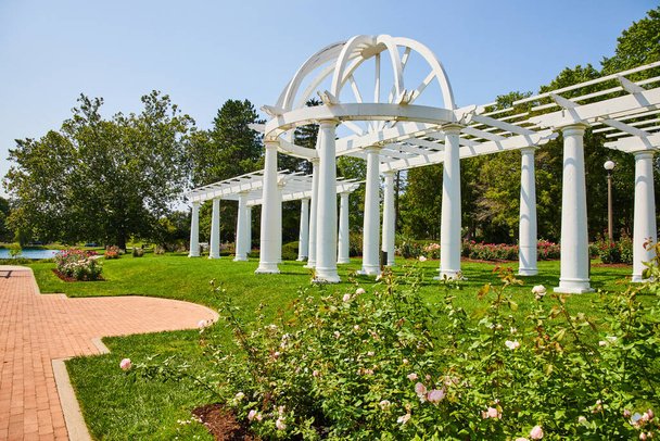Εικόνα του φωτός ροζ τριαντάφυλλα με τούβλο walkway μπροστά από πανέμορφο λευκό πέργκολα για γάμους στο πάρκο - Φωτογραφία, εικόνα