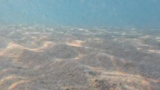Red Sea Surface. Bluewater panorama pozadí s měkkými vlnami. Modré moře nebo oceán vodní hladiny a podvodní vlnobití textury. Pomalý pohyb. - Záběry, video