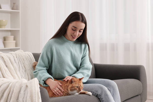 Beautiful woman petting cute cat on sofa at home - Foto, afbeelding