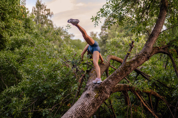 Приваблива дівчина піднімається на дерево, займається фізичними вправами і розтягує тіло в парку. Вона обіймає зелене середовище, насолоджуючись здоровим і активним способом життя, розважаючись на відкритому повітрі. - Фото, зображення
