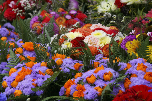 χρώμα λουλούδια στην αγορά - Φωτογραφία, εικόνα