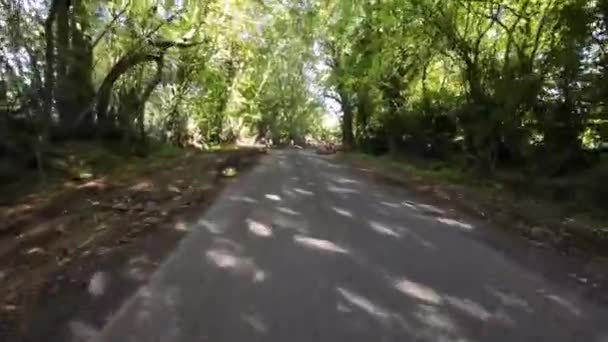 Jesienna przejażdżka po spokojnych wiejskich drogach - Materiał filmowy, wideo