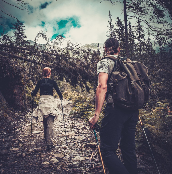 Casal com postes de caminhada andando em uma floresta
  - Foto, Imagem