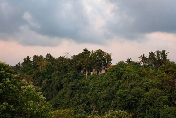 Descubra um oásis escondido no Campuhan Ridge Walk de Ubud, onde uma vila está aninhada no meio de uma exuberante folhagem florestal. - Foto, Imagem