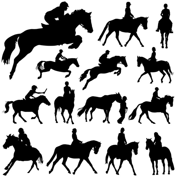 Horses and riders - Vector, Image