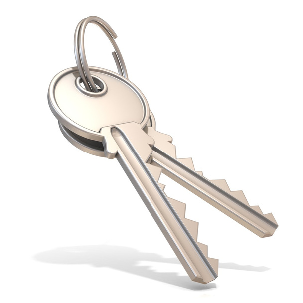 A pair of steel house keys isolated on white background - Zdjęcie, obraz