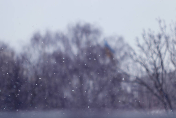 Krajina Zimního města. Zavřete sníh. Rozmazané pozadí. - Fotografie, Obrázek