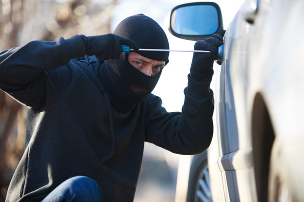 car thief - Photo, Image