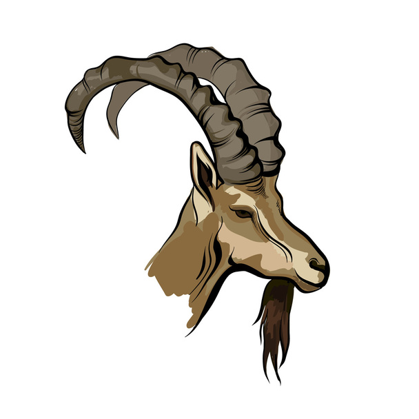 Mountain goat realistic design - Wektor, obraz