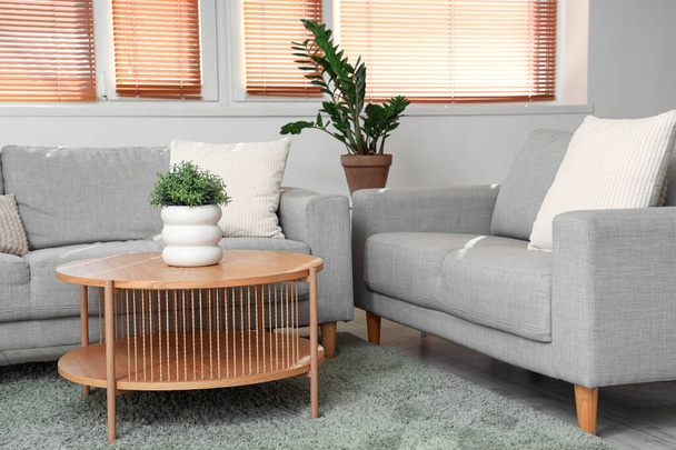 Belső tér világos nappali szürke kanapéval és dohányzóasztallal - Fotó, kép