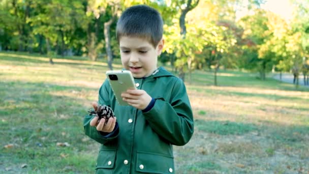 Um menino tira uma foto com seu telefone de um pinecone na natureza. - Filmagem, Vídeo