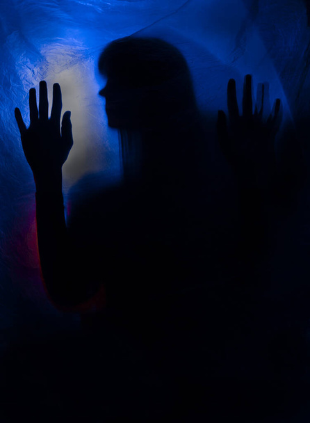 silhouette woman behind blue light poses mysteriously and artistically - Photo, Image