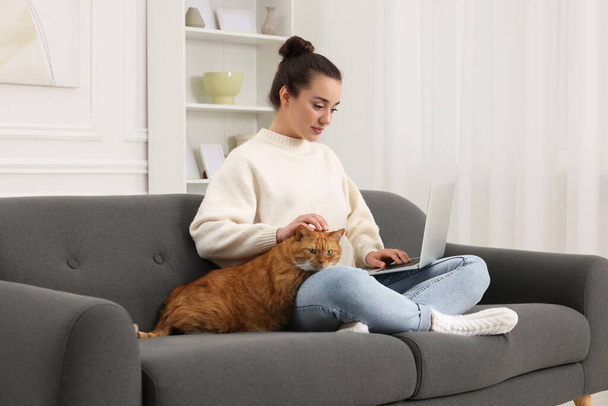 Beautiful woman working with laptop and petting cute cat on sofa at home - Valokuva, kuva
