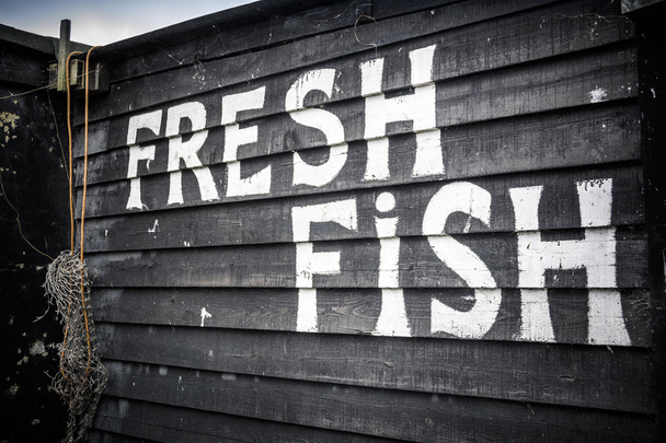 čerstvé ryby - Fotografie, Obrázek