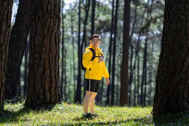 Природний пішохід тримає бінокль під час досліджень у сосновому лісі для вивчення та виявлення рідкісного біологічного різноманіття та еколога на концепції дослідження пішохідного поля - Фото, зображення