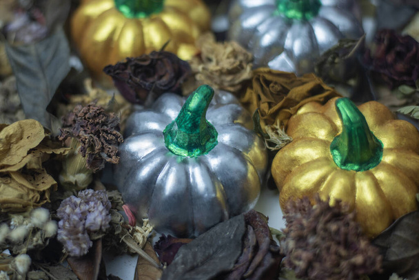 Stucco pumpkins, silver and golden yellow placed among the leaves - Photo, Image