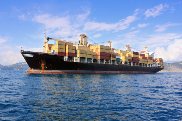 Container ship in sea - Zdjęcie, obraz