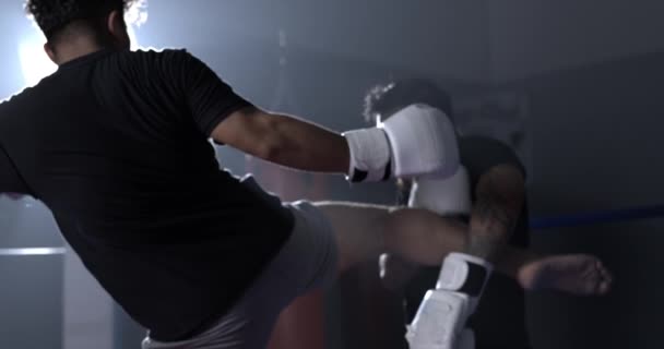 800 fps Art of Combat of Muay Thai Expert 's Perfect Side-Body Kick, Dramatic Slow-Motion Presenta Técnica e Impacto - Imágenes, Vídeo
